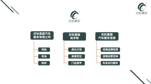 轮胎行业发展趋势 轮胎店联盟与单打独斗的利弊及软件开发的赋能作用